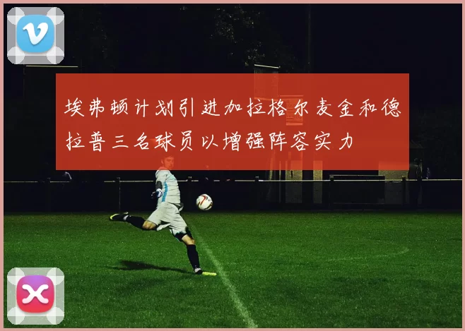 埃弗顿计划引进加拉格尔麦金和德拉普三名球员以增强阵容实力