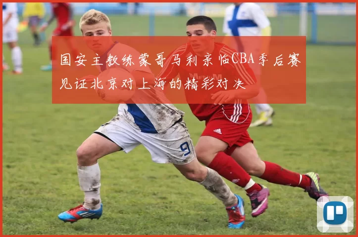国安主教练蒙哥马利亲临CBA季后赛见证北京对上海的精彩对决