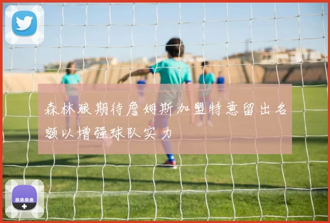 森林狼期待詹姆斯加盟特意留出名额以增强球队实力